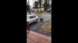 Puppy love right off the school bus.