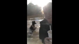 Dog won't stop splashing these people