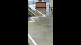 Footage of fany breaking Hall of Residence gate into pieces