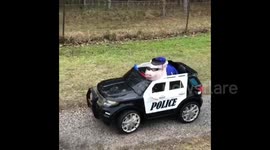 This little piggy went for a ride in a US police car