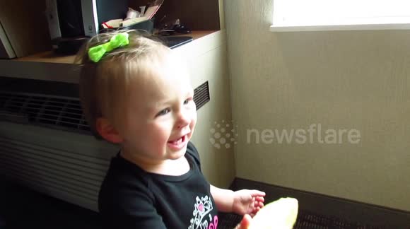 Toddler eats lemon