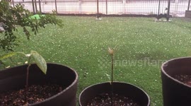 Hail in spring !