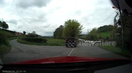 Just a day in North Wales - Sheep on the loose.