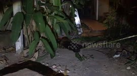 Python Caught Srangling Black Cat