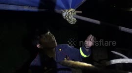 Fireman Catches Python With One Hand