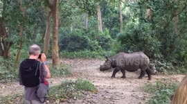 Wild rhinoceros crosses path metres away from tourists