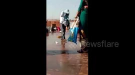 Devotees in north India take cover to escape attacking swarm of BEES