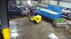 This fork truck driver is loving is job.