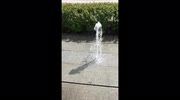temp