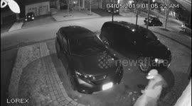 Findlay Creek thief caught on camera.