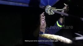 Fireman reveals how killer snakes are taking over the Thai capital