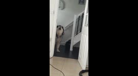 Malky being chopsy again