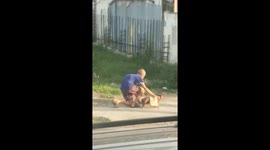 Pensioner Battles Through Pain To Walk Pet Dog