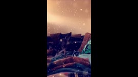 Hershey killed the Easter bunny 