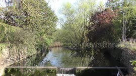 Wide shot of Heron by Stream