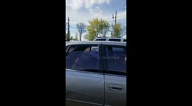 How many dogs can you fit in a Camry while you eating in a restaurant?