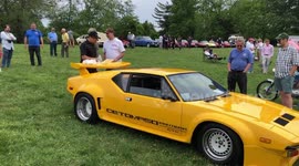 Man Eats Lunch on 1981 De Tomaso Pantera GT5 spoiler