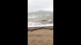 Wings over Wangitoto