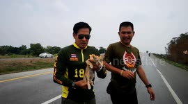 Thai paramedics rush to rescue stranded kitten on road