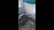 temp