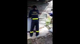 Cobra Caught Under Washing Machine
