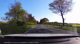 Ridiculously close call with a lorry