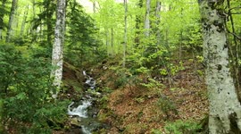 Natura incontaminata