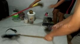 Monitor lizard scurries away after being caught in a family kitchen in Indonesia