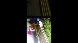 Woman hilariously falls over balcony trying to gather laundry