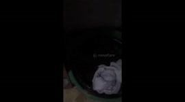 What else can you find in your laundry besides dirty clothes?