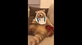 週末夜晚就該放鬆