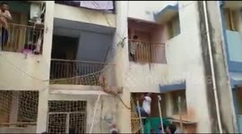 Dramatic moment leopard falls from building but is saved by net