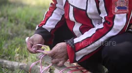 Filipino tribe sacrifices live animals and bottles of wine to Mother Earth