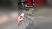 temp