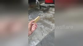 Biker in Philippines feeds cracker to shy stray dog while both shelter from rain