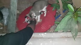 She enjoys the awesome massage and wants more!!!