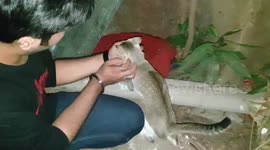 She enjoys awesome massage and wants More!!! Part 2