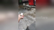 temp