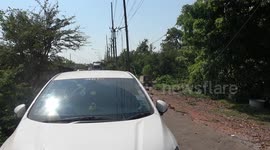 Monkeys Ambush Parked Car