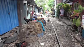 Walk through Bangkok's last remaining slum before it's replaced with shopping malls