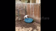 temp
