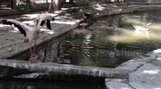 temp