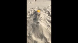 Throwing Disk extreme...