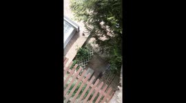 My mum got her finger stuck in the vacuum cleaner and i filmed it