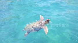 Marathonisi ‘Turtle’ Island, Zakynthos, Greece.