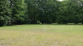 Slow reveal of some nature and city