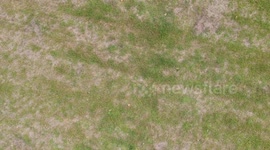 Reveal of some nature and city