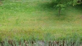 Abandoned stone soldiers