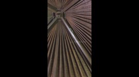 Gecko Poos On Couple's Hotel Bed