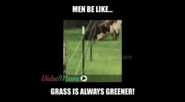 The Grass Is Always Greener!